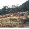 General site view